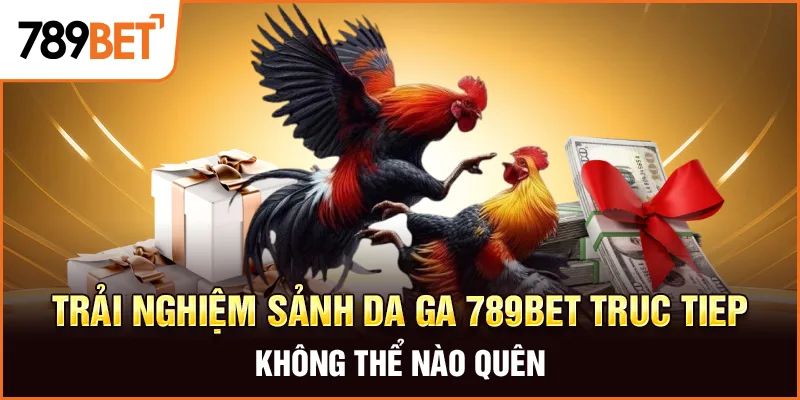 Trải Nghiệm Sảnh Da Ga 789bet Truc Tiep Không Thể Nào Quên