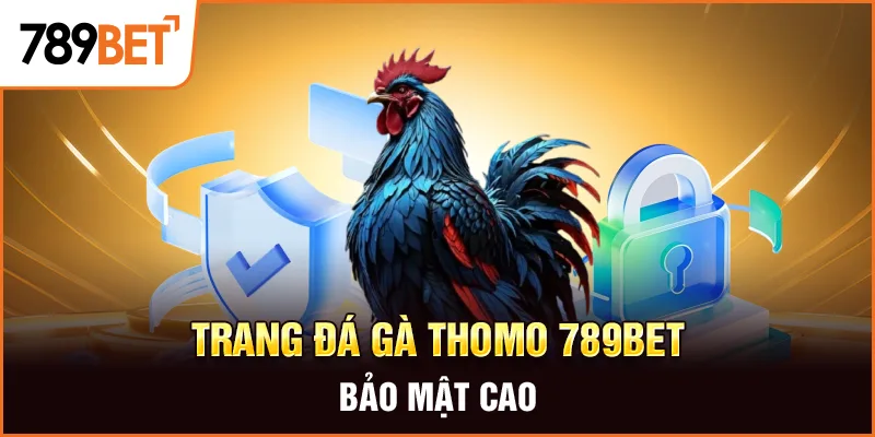 Trang đá gà thomo 789BET bảo mật cao Trang đá gà thomo 789BET bảo mật cao